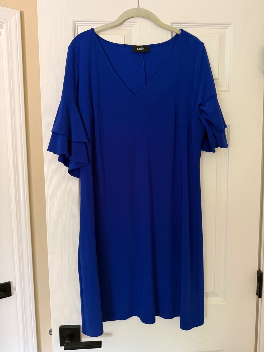 MSK Ruffle Sleeve Dress